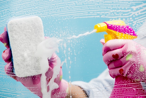 How to Eliminate Different Types of Bacteria from My Home?
