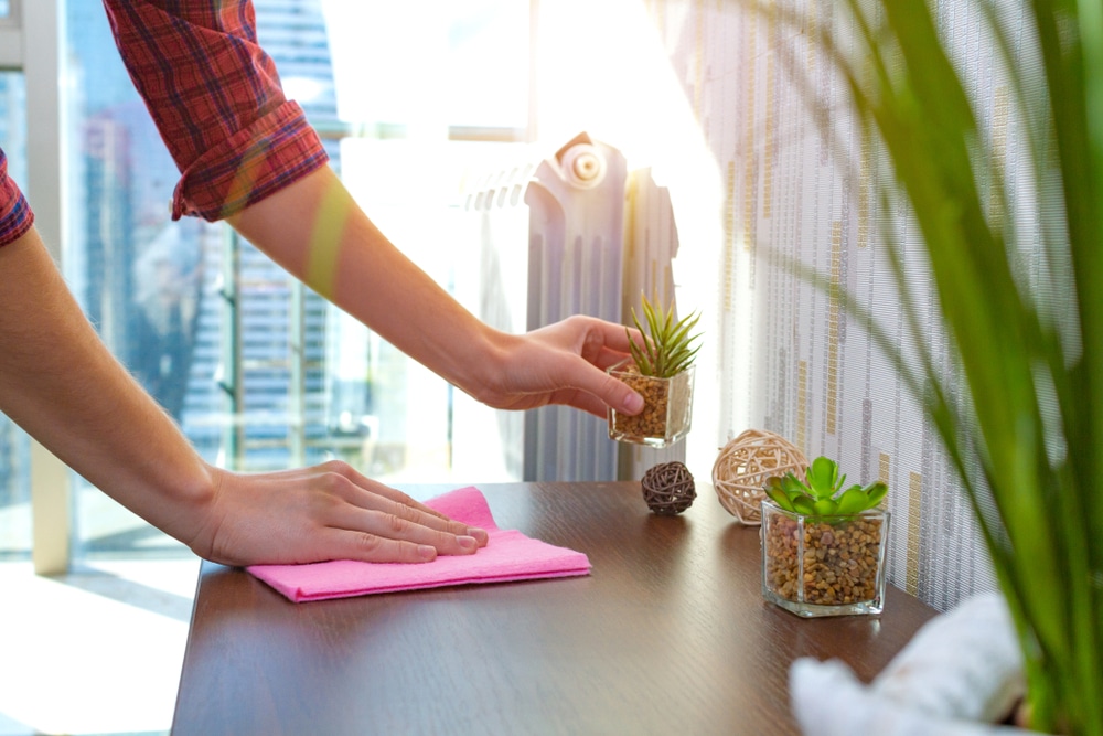 How to Dust Like a Pro | The Best House Cleaning Services Lake Worth