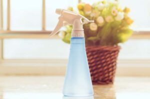 Where in North Palm Beach can I hire reliable maid service