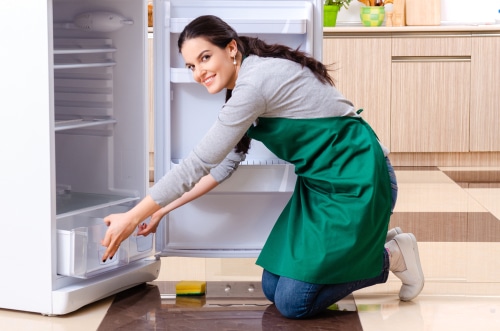Jupiter Farms, FL Maid Services