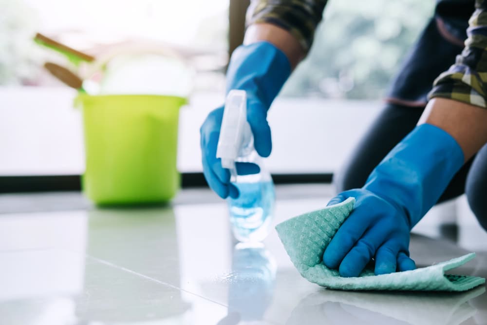 Flu Season Disinfection Guide | House Cleaning Services Lantana