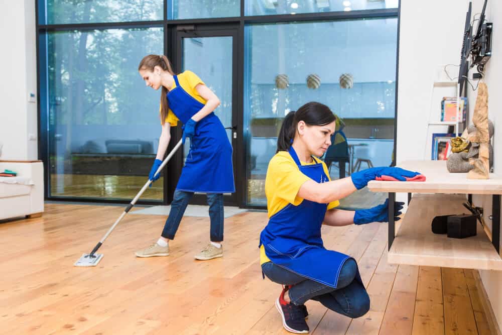 How-do-I-keep-my-house-clean-with-lots-of-pets