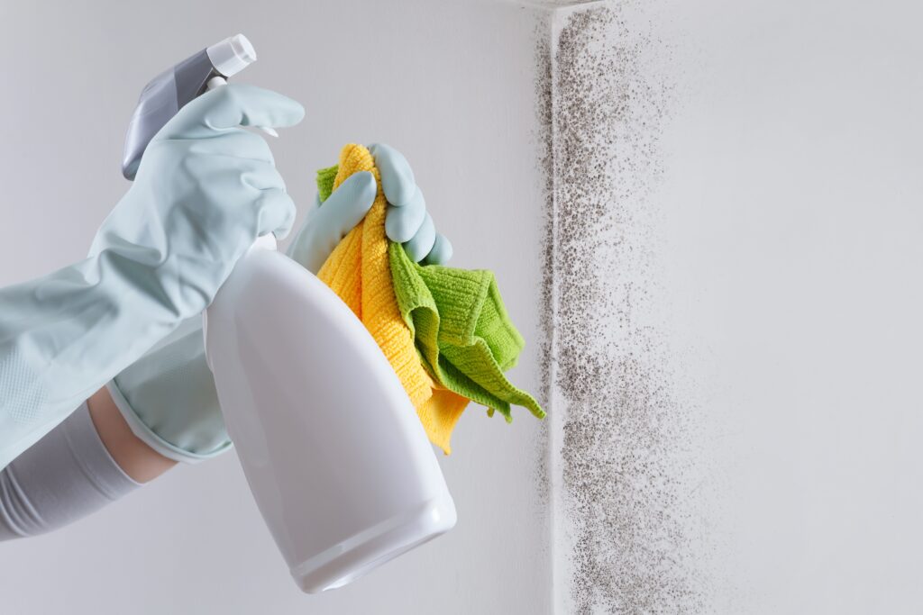 cleaning mold