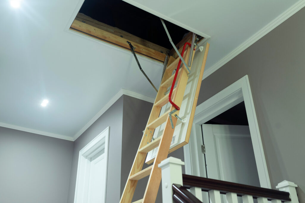 Attic Cleaning | How to do it in South Florida