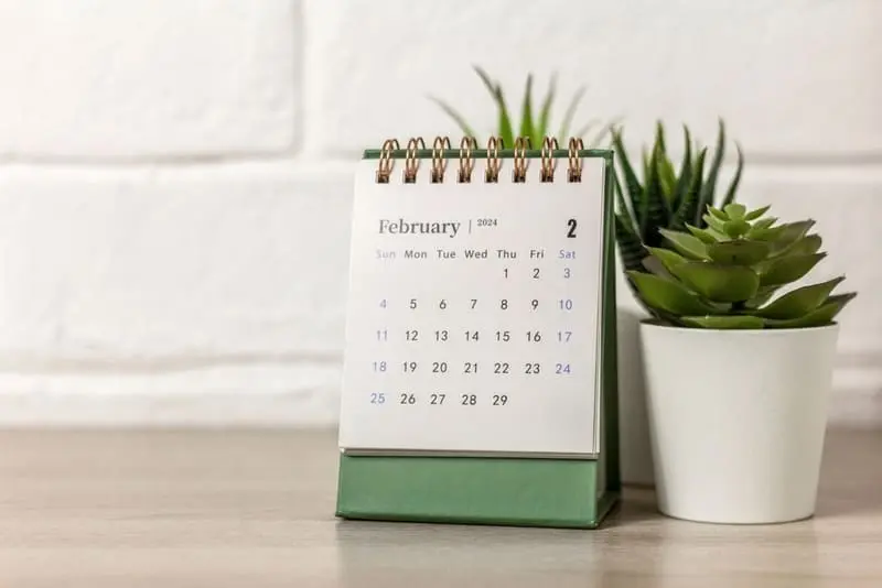 Desk calendar beside small plants, symbolizing planning for a house cleaning schedule.