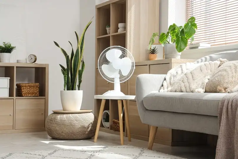 A white electric fan on a stand, ideal for illustrating how to clean the electric fan.