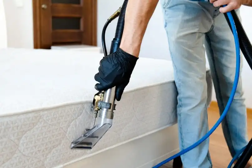A professional mattress deep cleaning service in action, impacting the overall deep cleaning cost.