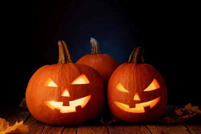 How to Remove Pumpkin Stain from Clothes, Carpet, and More