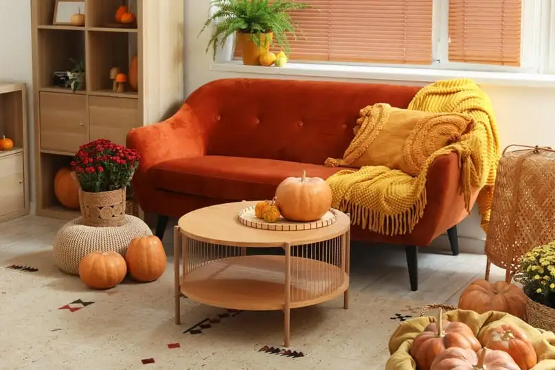 How to Clean Carpet After Thanksgiving Dinner: Practical Tips for a Spotless Home