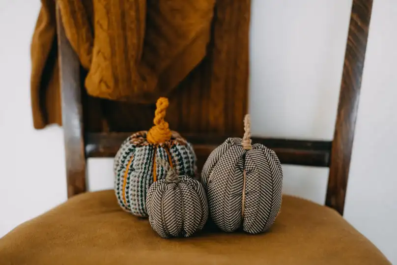 How to Clean Fabric Dining Chairs Before Thanksgiving Dinner 2025