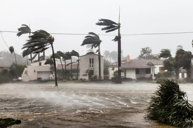 Storm Cleanup in South Florida: Essential Tips for Post-Hurricane Recovery