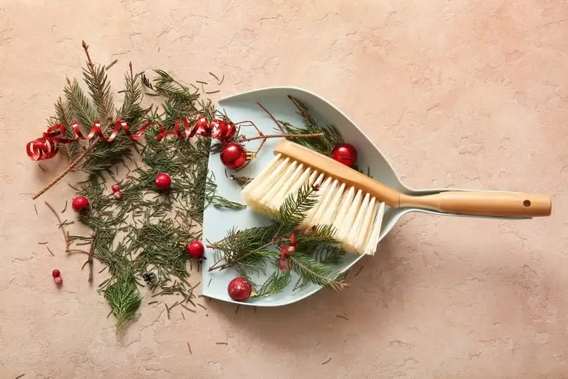 Professional Christmas Cleaning in West Palm Beach
