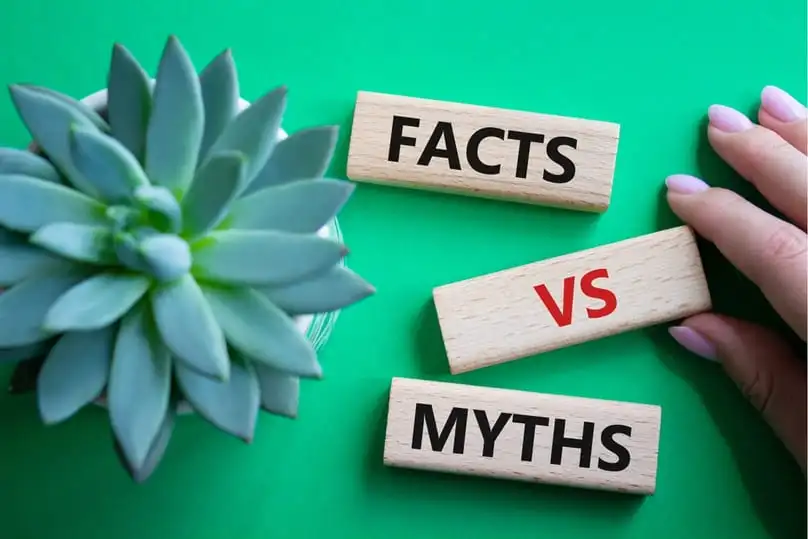 Top Cleaning Myths Debunked: What Florida Homeowners Should Really Know