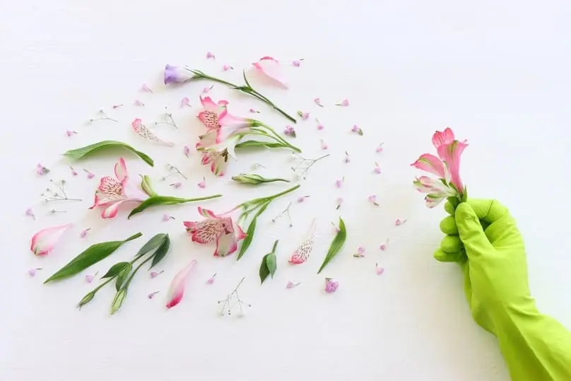 What Is Spring Cleaning and How Did It Originate?